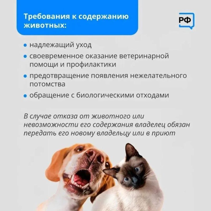 В Нижневартовске продолжается зоозащитная акция «Не бросай меня на даче» В Нижневартовске продолжается зоозащитная акция «Не бросай меня на даче»