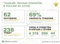 За прошедшие сутки в 17 регионах России потушили 62 лесных пожара