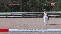 Конный клуб Белого Яра получил субсидию на развитие