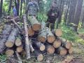 Общими усилиями — к чистоте и безопасности: субботник в природном парке «Самаровский чугас»