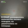 В ХМАО уменьшилось количество лесных пожаров, но увеличилась их площадь