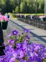 Завершаем трудовую неделю. Желаем провести выходные дни с максимальной пользой для себя, восстановить силы и встретить понедельник в хорошем настроении
