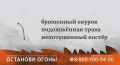 Берегите лес!. Пожалуйста, помните: -