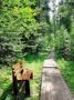 Искренняя улыбка и долгий сон - два самых лучших врача в мире