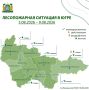 За прошедшую неделю – с 3 по 9 августа, в Югре ликвидировали 73 лесных пожара на площади, пройденной огнем 8979,65 га