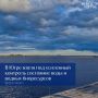 Руслан Кухарук поручил усилить контроль за качеством воды в водоемах из-за неблагоприятной экологической обстановки в Тюменской области