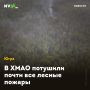 В ХМАО потушили почти все лесные пожары
