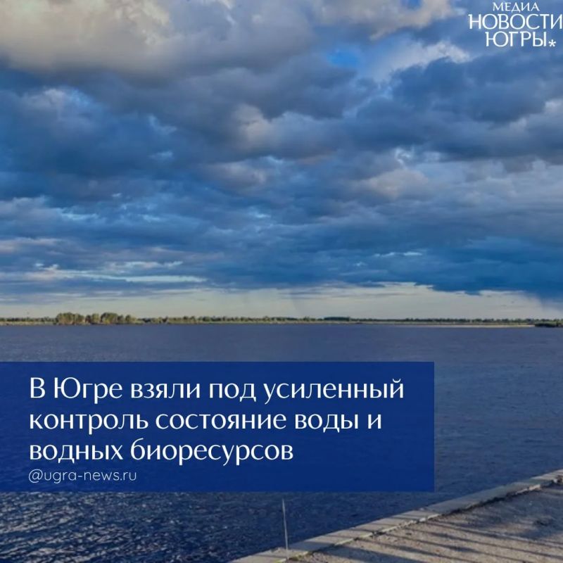Руслан Кухарук поручил усилить контроль за качеством воды в водоемах из-за неблагоприятной экологической обстановки в Тюменской области