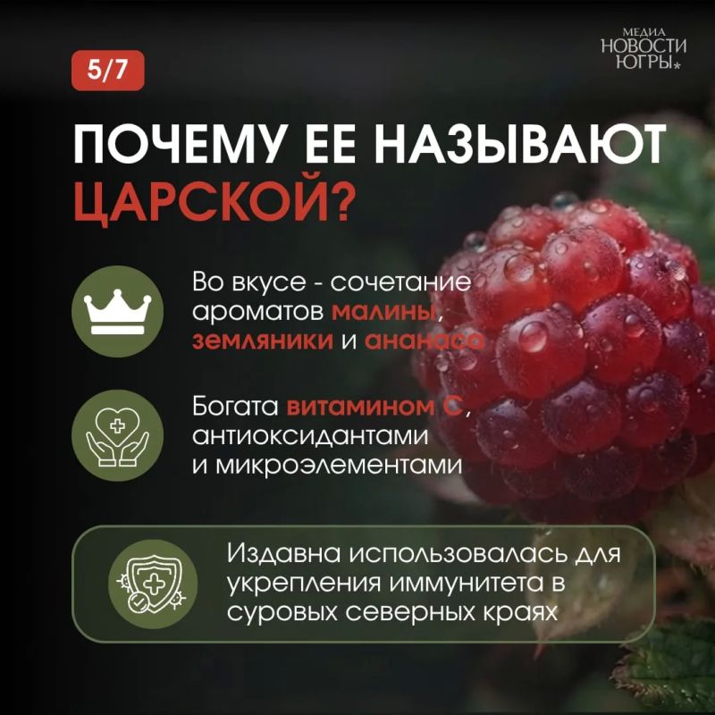 Её называют официальной ягодой Патриков Её называют официальной ягодой Патриков