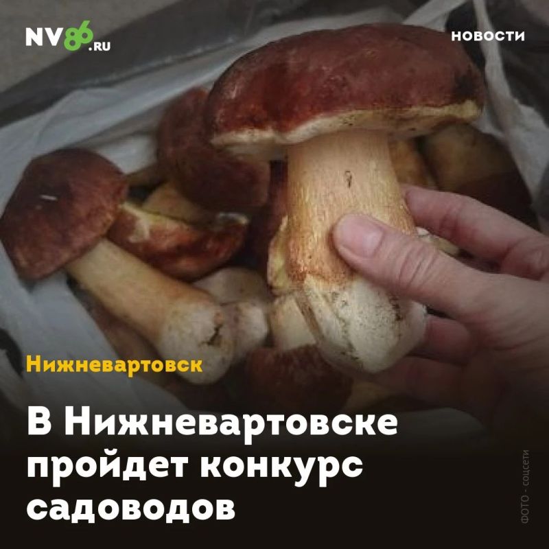В Нижневартовске пройдет конкурс садоводов