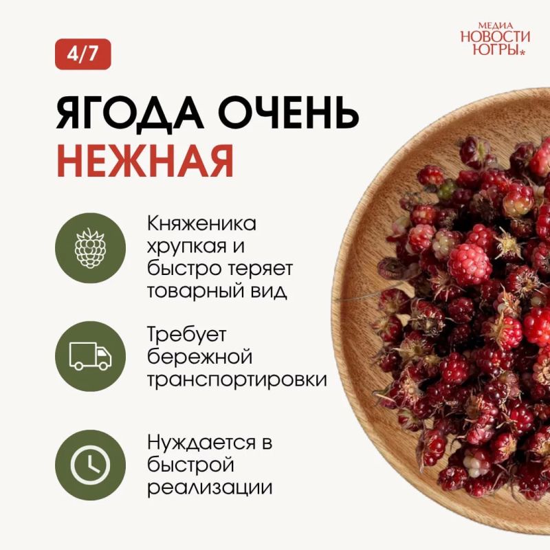 Её называют официальной ягодой Патриков Её называют официальной ягодой Патриков