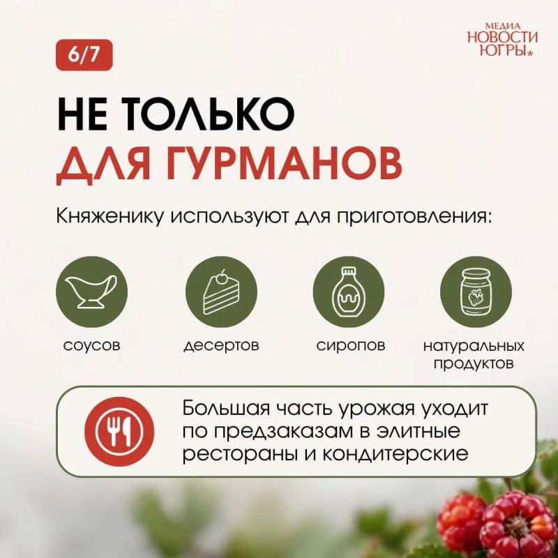 Её называют официальной ягодой Патриков Её называют официальной ягодой Патриков