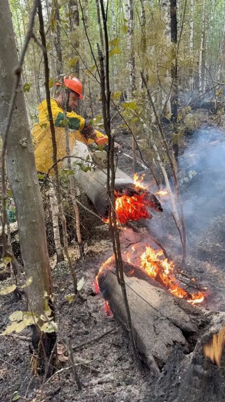 Лесопожарная обстановка в Югре стабилизирована после двух месяцев напряженной борьбы Лесопожарная обстановка в Югре стабилизирована после двух месяцев напряженной борьбы