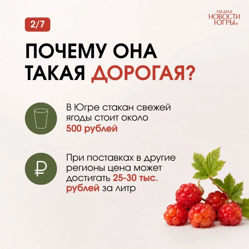 Её называют официальной ягодой Патриков Её называют официальной ягодой Патриков