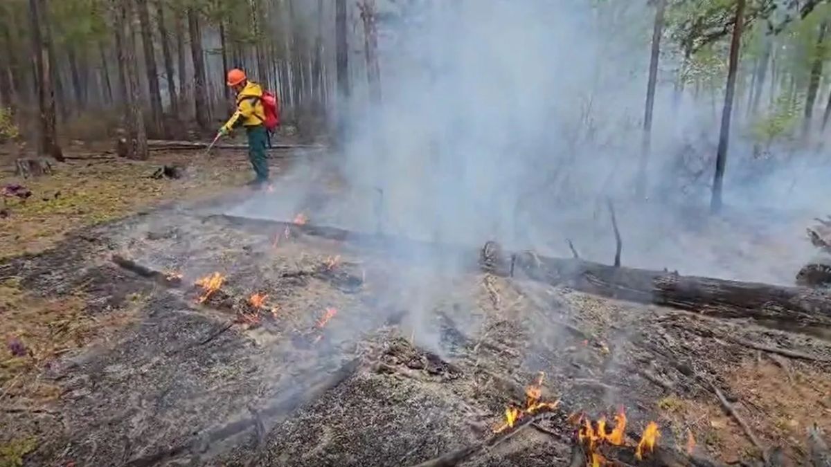 Лесопожарная обстановка в Югре стабилизирована после двух месяцев напряженной борьбы Лесопожарная обстановка в Югре стабилизирована после двух месяцев напряженной борьбы