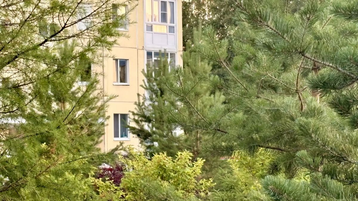 Опрос по теме участия югорчан в общественной деятельности