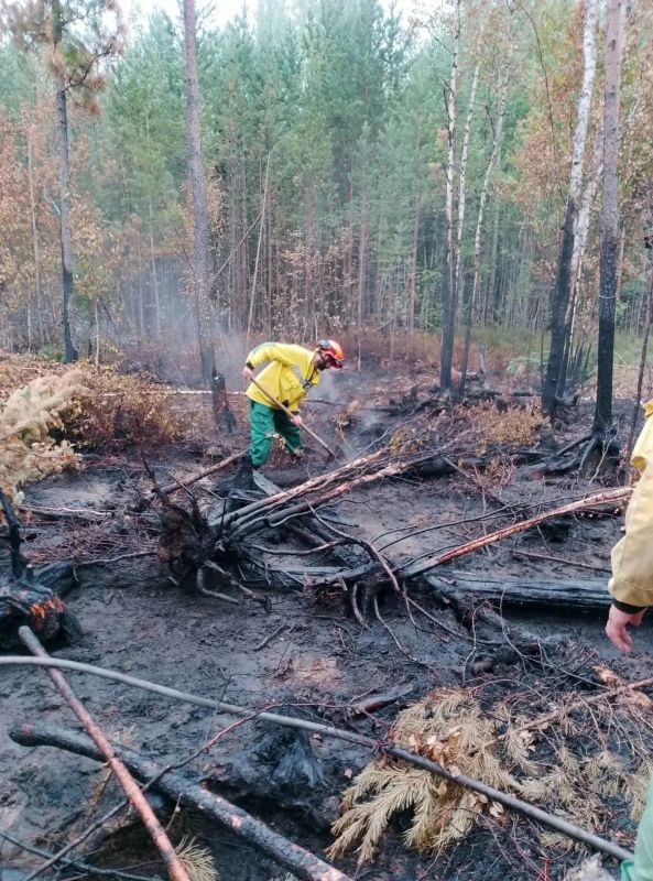 Лесопожарная обстановка в Югре стабилизирована после двух месяцев напряженной борьбы Лесопожарная обстановка в Югре стабилизирована после двух месяцев напряженной борьбы