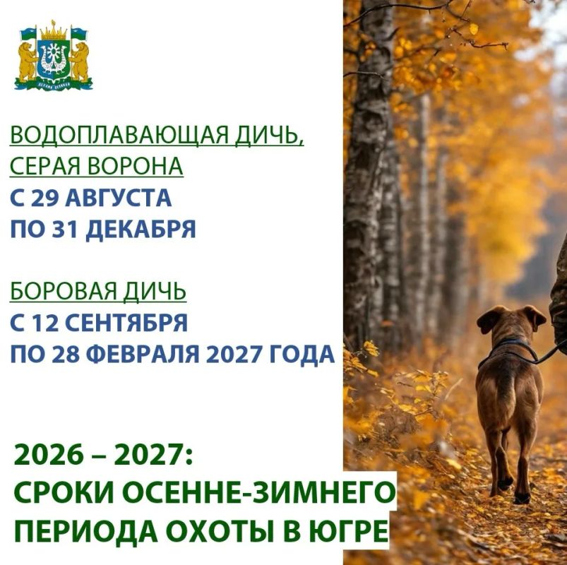 Готовимся к осенне-зимнему сезону охоты заранее: в Югре охота на водоплавающую дичь стартует в конце августа
