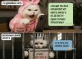 В России начали штрафовать за грубость в домовых чатах
