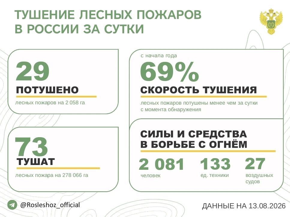 За прошедшие сутки в 12 регионах России потушили 29 лесных пожаров