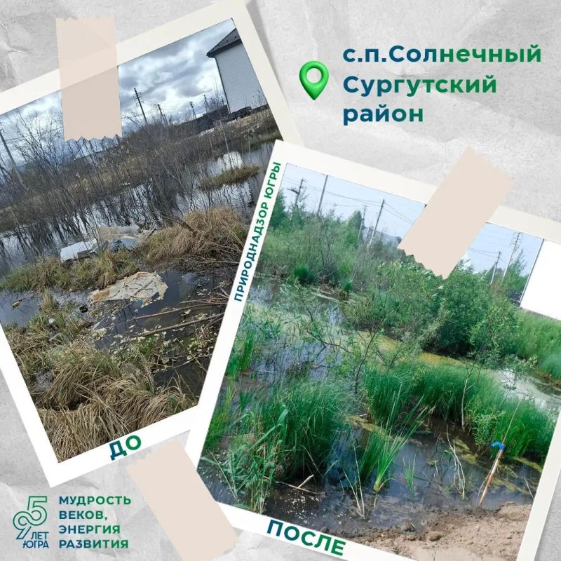 В сельском поселении Солнечный ликвидированы несанкционированные свалки В сельском поселении Солнечный ликвидированы несанкционированные свалки