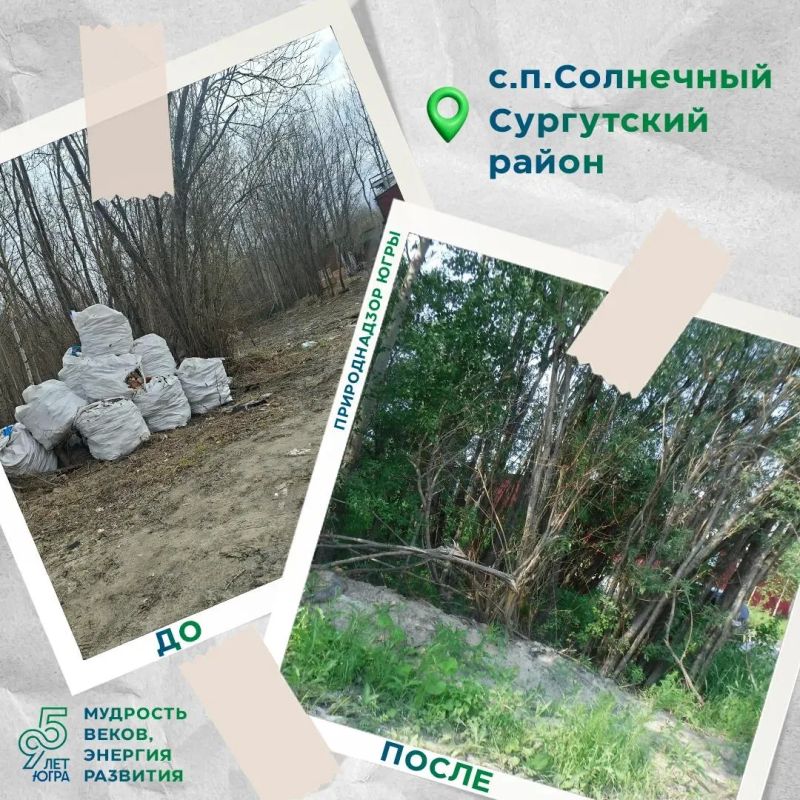 В сельском поселении Солнечный ликвидированы несанкционированные свалки В сельском поселении Солнечный ликвидированы несанкционированные свалки