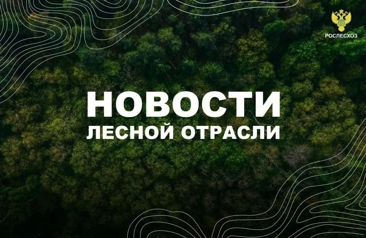 AK&M: Рослесхоз: Ямало-Ненецкому автономному округу надлежит усилить меры по дотушиванию лесных пожаров