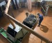 Ком из влажных салфеток парализовал работу крупнейшей насосной станции