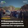 В Нижневартовске за неделю уменьшилось количество мигрантов