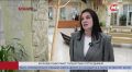 «Пушистые сотрудники» работают в музее Лангепаса