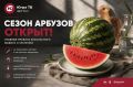 ����� ������� ������: ���������� ������� ������� ����������� ������ � ��������