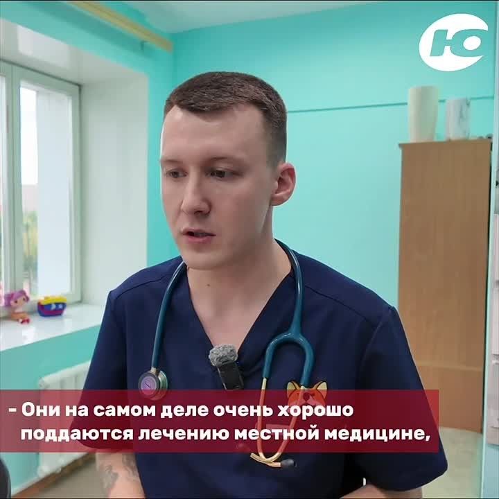 Югорские врачи планируют новую командировку в Африку