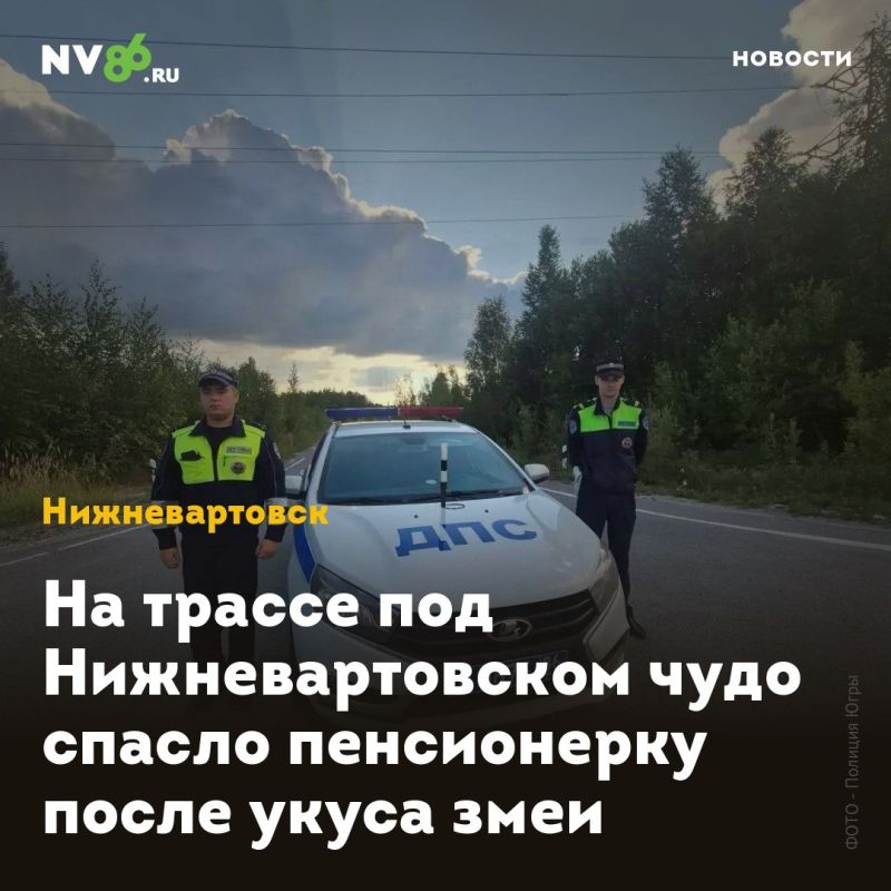 На трассе под Нижневартовском чудо спасло пенсионерку после укуса змеи
