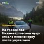 На трассе под Нижневартовском чудо спасло пенсионерку после укуса змеи
