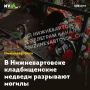 В Нижневартовске кладбищенские медведи разрывают могилы