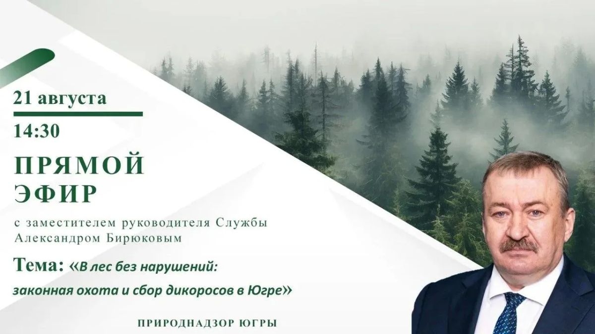 Уважаемые жители Югры!. . 21 августа в 14:30 часов заместитель руководителя Природнадзора Югры Бирюков Александр Артурович проведет прямой эфир на тему «В лес без нарушений: законная охота и сбор дикоросов в Югре» на нашей...