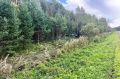 Семья из Сургута попала в ДТП в Тюменской области