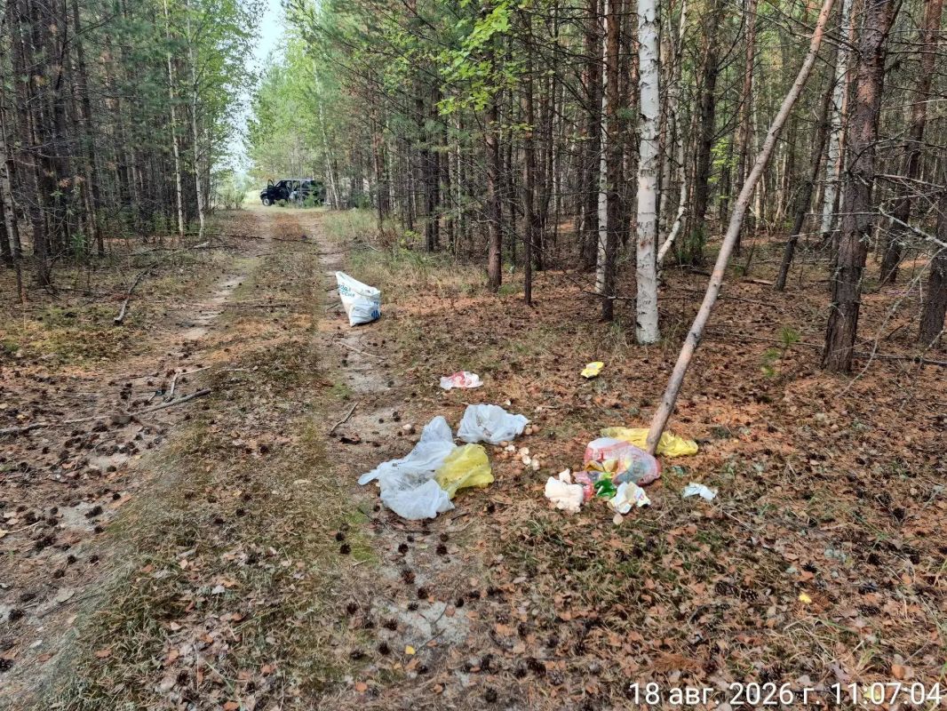 Когда мы представляем работу инспектора, в голове часто рисуется образ сурового мужчины в камуфляже Когда мы представляем работу инспектора, в голове часто рисуется образ сурового мужчины в камуфляже