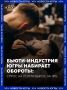 Барберы и маникюрщицы — самые востребованные специалисты индустрии красоты в Югре