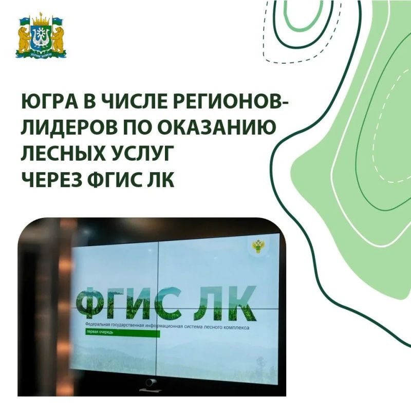 Рослесхоз поделился результатами работы во ФГИС Лесного комплекса в I полугодии 2026 года