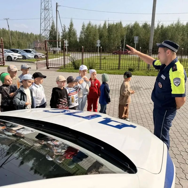 Сирены, рация, мигалки и руль патрульного авто Сирены, рация, мигалки и руль патрульного авто