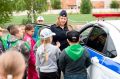 Сирены, рация, мигалки и руль патрульного авто