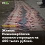 Житель Нижневартовска наловил стерлядки на 600 тысяч рублей