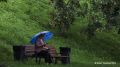 Температура воздуха на 7 градусов выше нормы и дождь ожидаются в течение рабочей недели в ряде регионов УрФО, сообщили в региональных гидрометцентрах