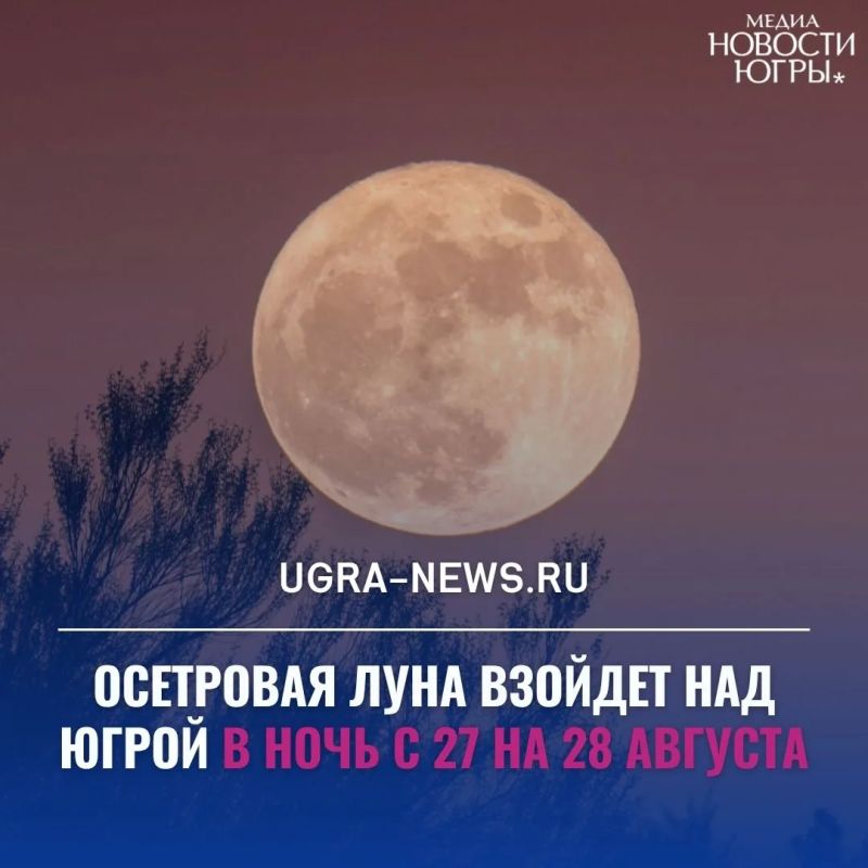 В конце августа югорчане смогут увидеть Осетровую Луну