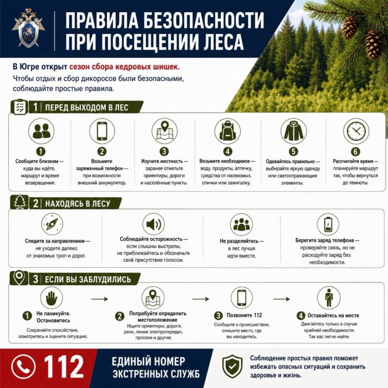 Следственное управление напоминает о мерах безопасности при посещении леса
