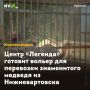 Центр «Легенда» готовит вольер для перевозки знаменитого медведя из Нижневартовска