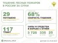 За прошедшие сутки в 13 регионах России потушили 29 лесных пожаров