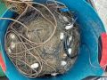 2 краснокнижных сибирских осетра и 65 стерлядок на 1,2 миллиона рублей изъяли полицейские у пенсионера
