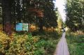 В трёх районах Югры зафиксированы лесные пожары